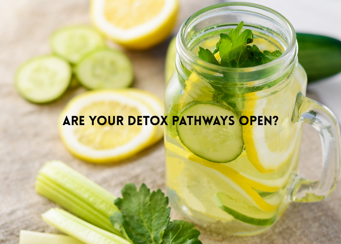 Are Your Detox Pathways Open—or Are You Recirculating Everything?