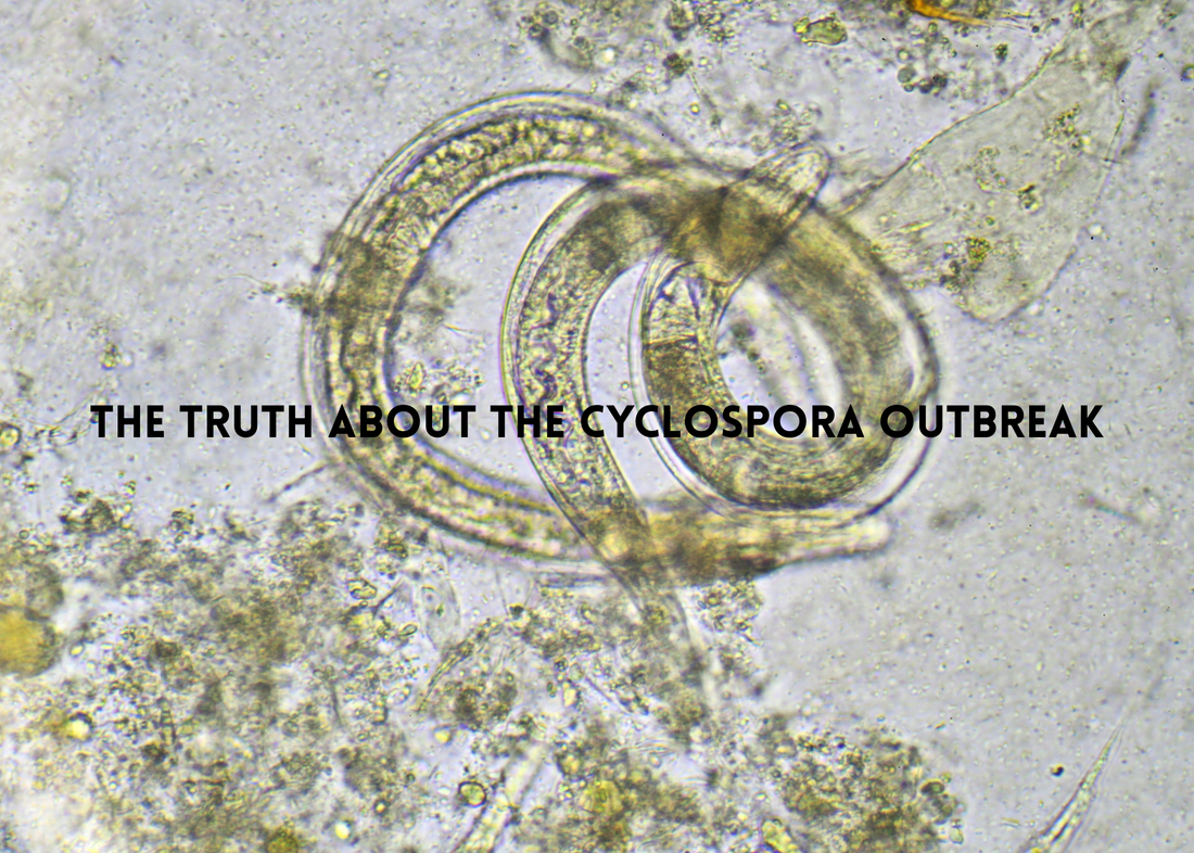 What You Need to Know About the Cyclospora Parasite Outbreak