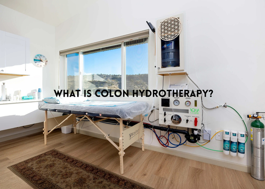Colon Hydrotherapy: A Powerful Addition to Your Parasite Cleanse