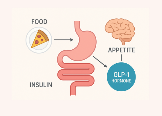 Diagram of how GLP-1 hormone works in the body after eating