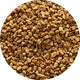 Fenugreek