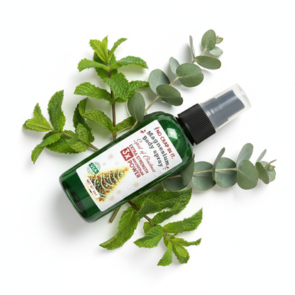 Spirit of Christmas Magnesium Spray -