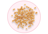 Fenugreek